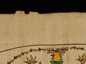 detail of modern papyrus